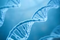 Công bố trình tự hoàn chỉnh đầu tiên của bộ gene người