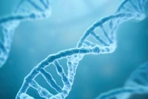 Công bố trình tự hoàn chỉnh đầu tiên của bộ gene người