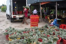 Ứng dụng công nghệ số trong kết nối cung cầu sản phẩm nông nghiệp