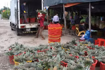 Ứng dụng công nghệ số trong kết nối cung cầu sản phẩm nông nghiệp