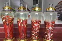 Rượu thuốc giúp sống khỏe