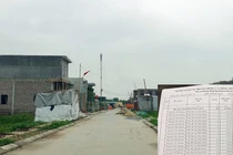 Đường 'nhuệ' thao túng nhiều vụ đấu giá đất