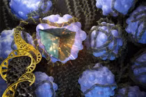 Catốt cho pin dung lượng cao từ ADN da cá hồi 