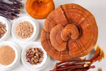 Suýt gặp “tử thần” với nấm linh chi