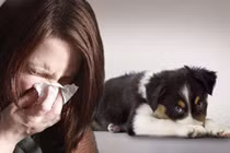 Tưởng ung thư hóa u giun chó mèo