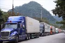 Nông sản vẫn "tắc" tại các cửa khẩu