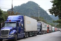 Nông sản vẫn "tắc" tại các cửa khẩu