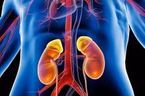 5 dấu hiệu suy thận cấp điển hình bạn không thể bỏ qua