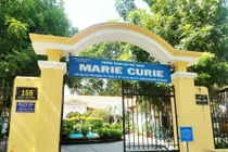 Sau tai nạn làm học sinh tử vong, trường học chặt cây lâu năm