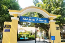 Sau tai nạn làm học sinh tử vong, trường học chặt cây lâu năm