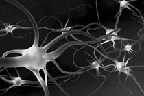 Hydrogel mới giúp sửa chữa các dây thần kinh bị tổn thương