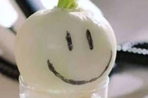 Trồng hành tây trong cốc thủy tinh diệt khuẩn