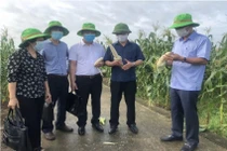 Thẩm định, đánh giá các giải pháp tại Hội thi Sáng tạo KHCN&KT Thái Bình lần thứ IX