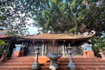 Ni sư 95 tuổi viết đơn tha thiết tặng chùa cho Giáo hội Phật giáo