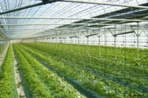 Những ứng dụng công nghệ hiện đại nhất trong nông nghiệp