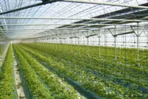 Những ứng dụng công nghệ hiện đại nhất trong nông nghiệp