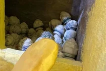 'Để hũ tro cốt bừa bãi là hành vi tắc trách'