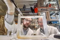 Cơ nhân tạo từ các protein tự nhiên