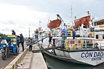 Bà Rịa – Vũng Tàu thẩm định việc chuyển mục đích sử dụng rừng làm cụm công nghiệp