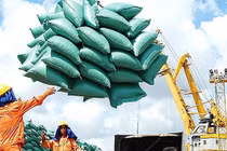 Hải quan lên tiếng vì bị "tố" mở tờ khai xuất khẩu 400.000 tấn gạo lúc nửa đêm