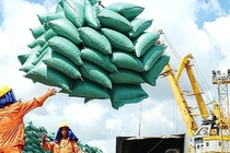 Hải quan lên tiếng vì bị "tố" mở tờ khai xuất khẩu 400.000 tấn gạo lúc nửa đêm