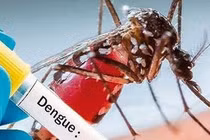 Hỏa tốc phòng chống dịch, nguy cơ dịch chồng dịch 