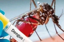 Hỏa tốc phòng chống dịch, nguy cơ dịch chồng dịch 