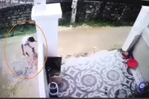 Bắt giữ tài xế cán chết bé trai 1 tuổi, giấu xác phi tang