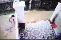 Bắt giữ tài xế cán chết bé trai 1 tuổi, giấu xác phi tang