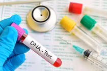 Độ tuổi để xét nghiệm ADN
