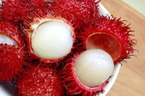 Hạt chôm chôm chữa tiểu đường