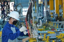 40% người lao động mất việc bởi Covid-19