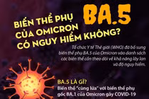 Biến thể phụ BA.5 có nguy cơ xâm nhập vào nước ta.