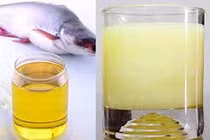  Sản xuất biodiesel từ mỡ cá tra