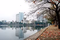 Hà Nội: Mùa cây thay lá