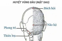 Điểm huyệt trị đau mỏi xương khớp mùa dịch