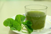 Uống gì để tránh lây nhiễm đường hô hấp?