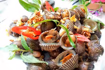  Sò huyết chữa u xơ tiền liệt tuyến