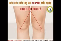 Day ấn huyệt bổ khí huyết, cường tráng cơ thể