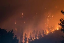 Thiết bị phát hiện cháy rừng từ xa hoạt động bằng sức gió