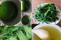 Dễ dàng phát hiện rau muống nhiễm kim loại nặng, nitrat