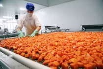 Nông sản xuất khẩu tỷ USD sụt giảm vì Covid-19