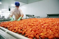 Nông sản xuất khẩu tỷ USD sụt giảm vì Covid-19