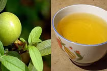 Không tự ý dùng thuốc cầm tiêu chảy