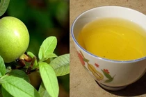 Không tự ý dùng thuốc cầm tiêu chảy