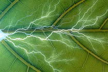 Phương pháp quang hợp nhân tạo mới thu nhận CO2 từ không khí và biến nó thành nhiên liệu