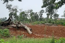 Kon Tum thanh tra toàn diện 27 dự án đầu tự tại huyện Kon Plông