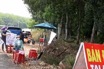 Mua đất như mua rau, đại gia vác thùng carton đựng hàng chục bó tiền đi mua bán đất