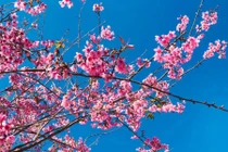 Bài văn khấn gia tiên ngày mùng 2 Tết Tân Sửu