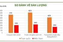 EVN lệnh cắt giảm, các ông chủ nhà máy điện lo lắng